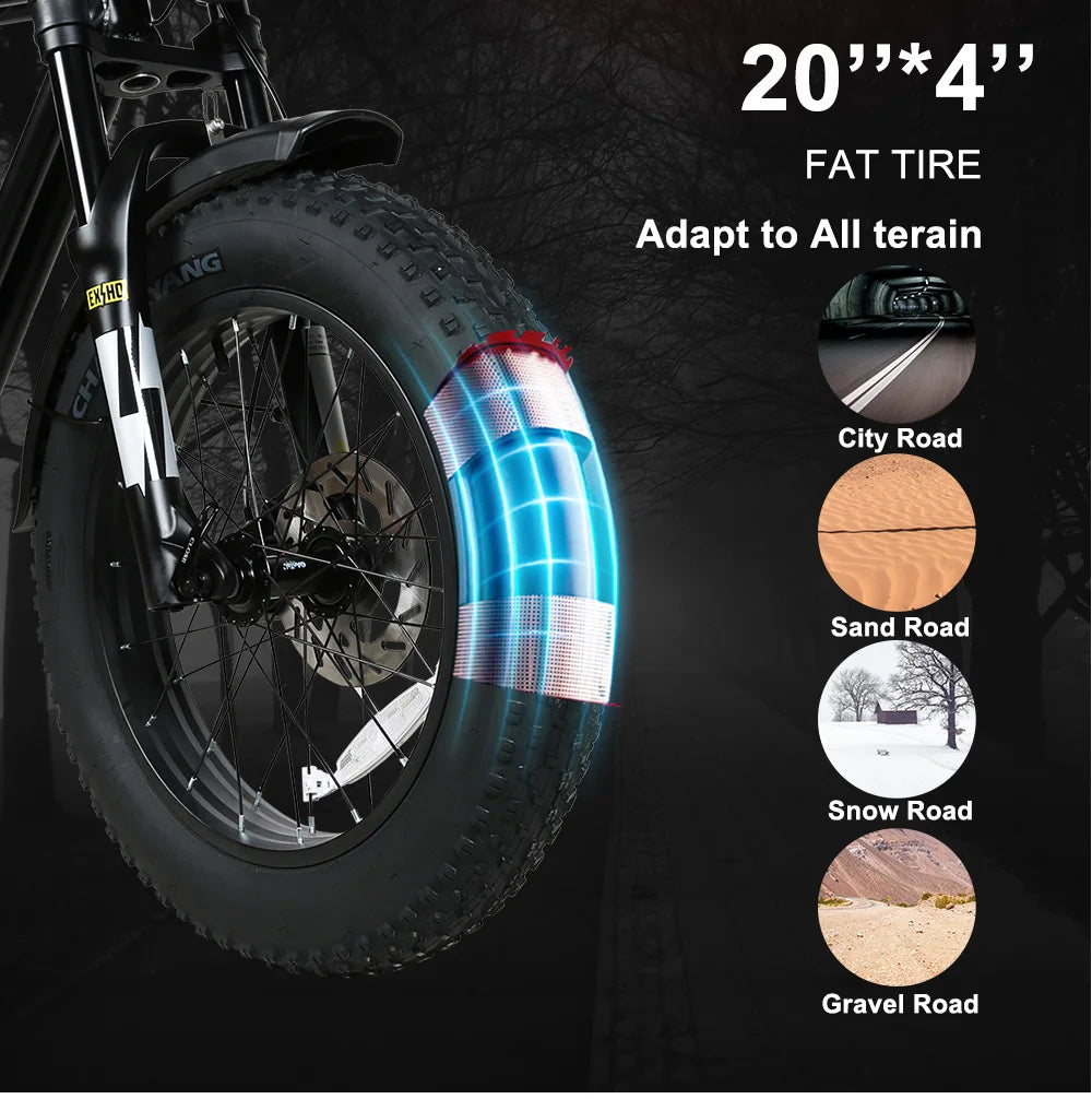 2000W Fat Tire Electric Bike – 48V 36Ah Detachable Battery, 20" Off-Road, High-Carbon Steel Frame
